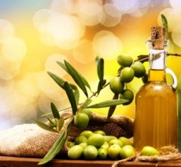 olivki i olivkovoe maslo